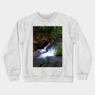 Forest Waterfall Crewneck Sweatshirt